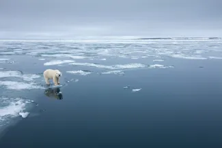 Svalbard