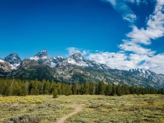 Jackson Wyoming