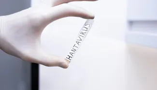 hantavirus