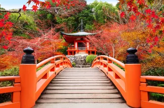 japan walking bridge