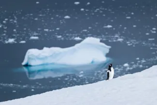 penguin x100vi
