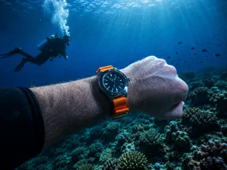 Vostok amphibia