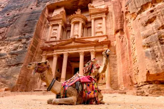 Spectacular view of two beautiful camels in front of Al Khazneh (The Treasury) in Petra.