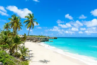 Bottom Bay, Barbados - Paradise beach on the Caribbean island of Barbados. Tropical coast with palms hanging over turquoise sea. 