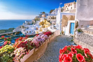 Scenic view of traditional cycladic houses on small street with flowers in foreground, Oia village, Santorini, Greece