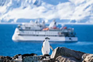 Chinstrap Penquin in front of the Aurora Expedions Greg Mortimer in antarctica