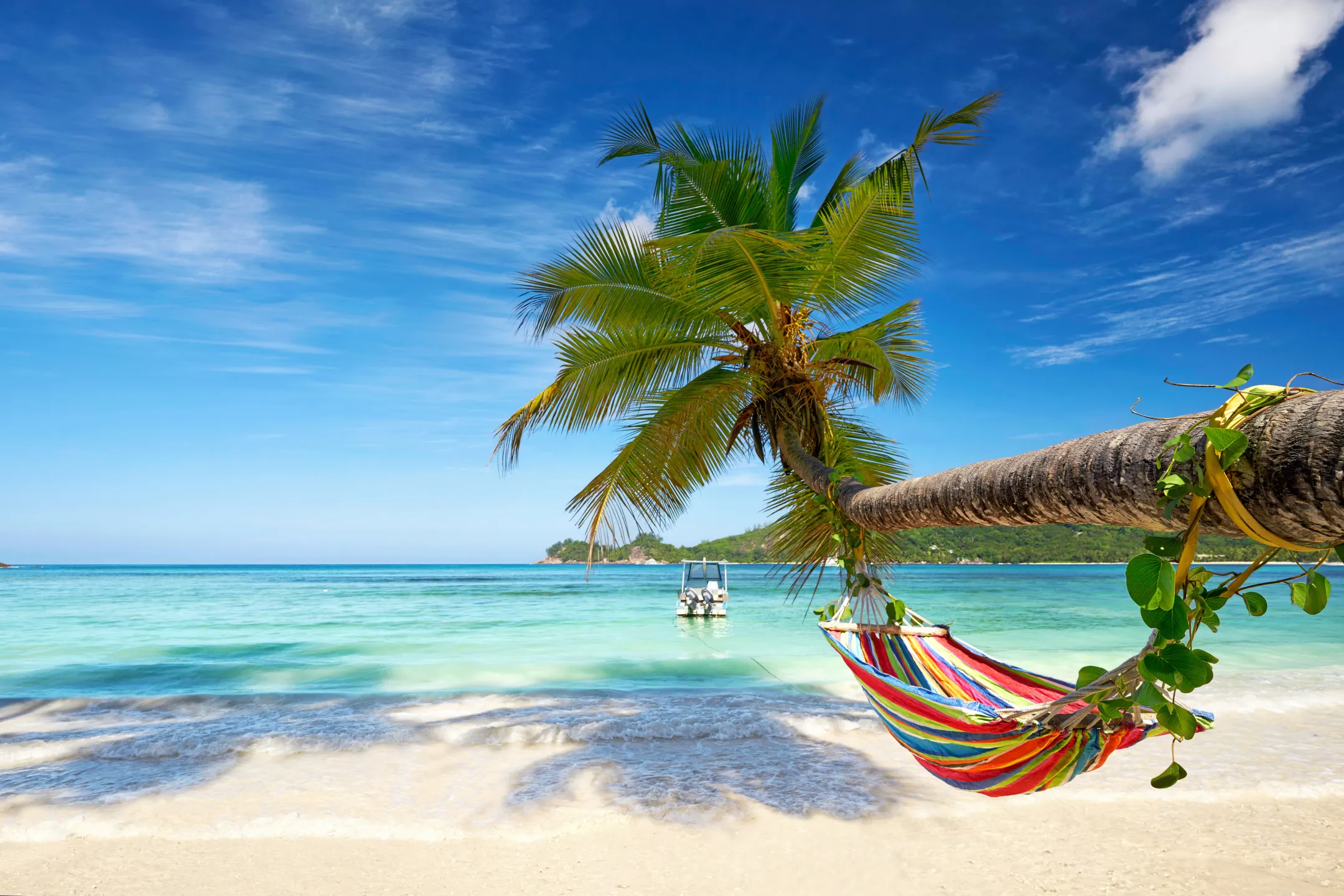 Caribbean