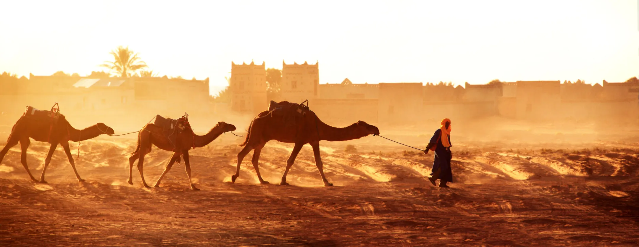 Morocco Adobe Stock