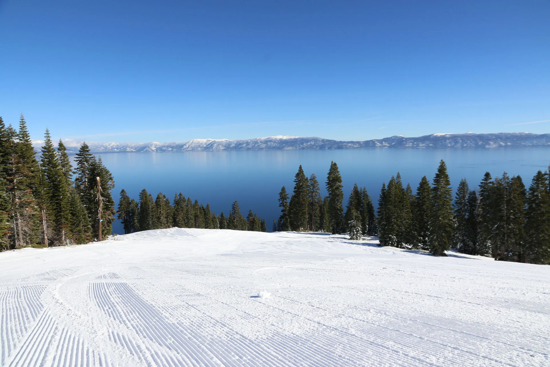 A view of Nevada from Homewood. A view from the top of Homewood mountain.