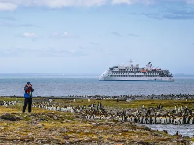 Which Type of Cruise Suits You the Best?