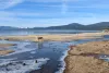 Kings Beach at Low Tide with beached boat in background.