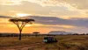 Sunset in savannah of Africa with acacia trees