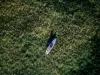 paddle board view from above lake tahoe california