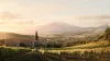 Mt Etna Overlooking Sicilian Countryside with Vineyards and Buildings