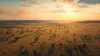 Aerial View of savanna
